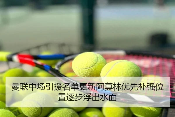 曼联中场引援名单更新阿莫林优先补强位置逐步浮出水面